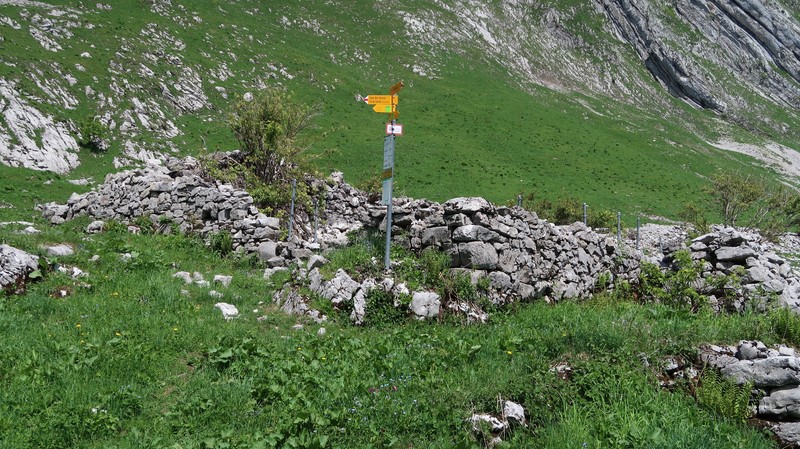 Cape au Moine des Verraux, randonnée d'été en dessus d'Allières dans le